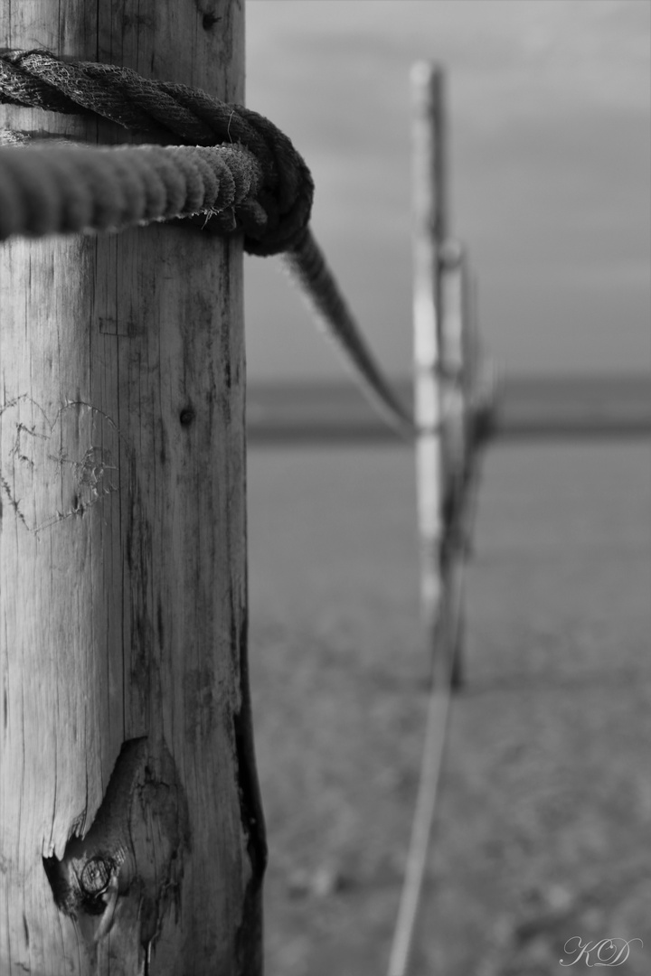 Am Strand von Wangerooge