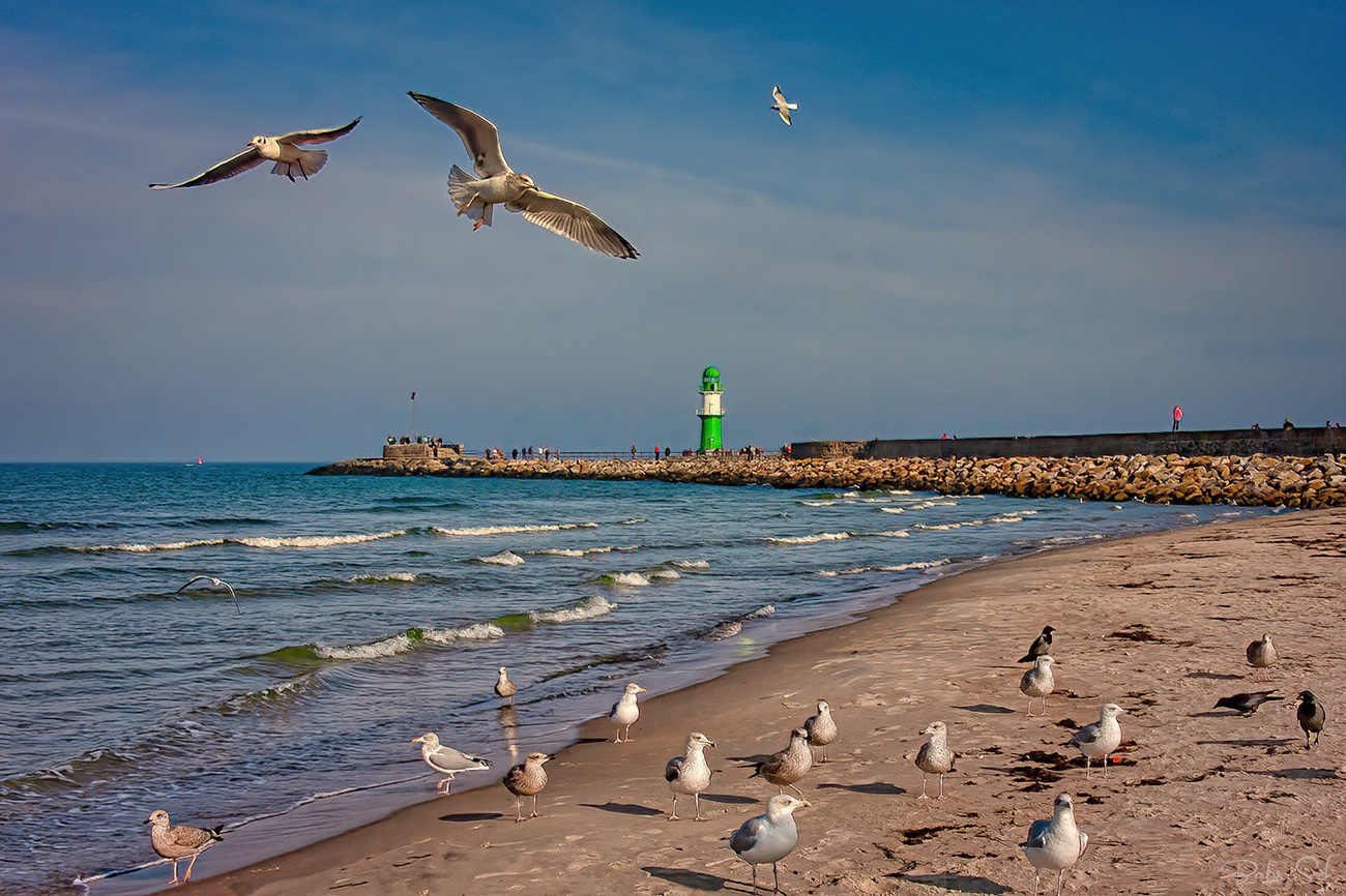 Am Strand von Warnemünde 