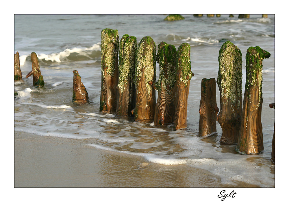 Am Strand von Westerland