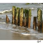 Am Strand von Westerland