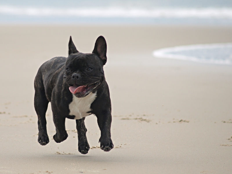 Am Strand von Westerland