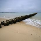 Am Strand von Wustrow 