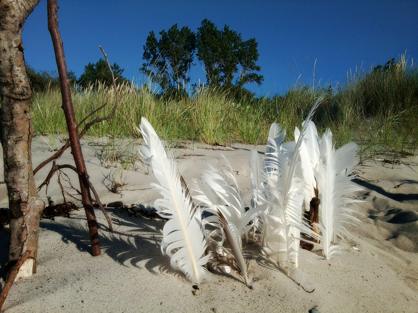 Am Strand von Zingst