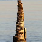 Am Strand von Zingst