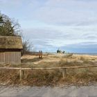 ... am Strand von Zingst