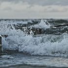 Am Strand von Zingst / Darß