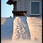 Am Strand von Zingst /II.