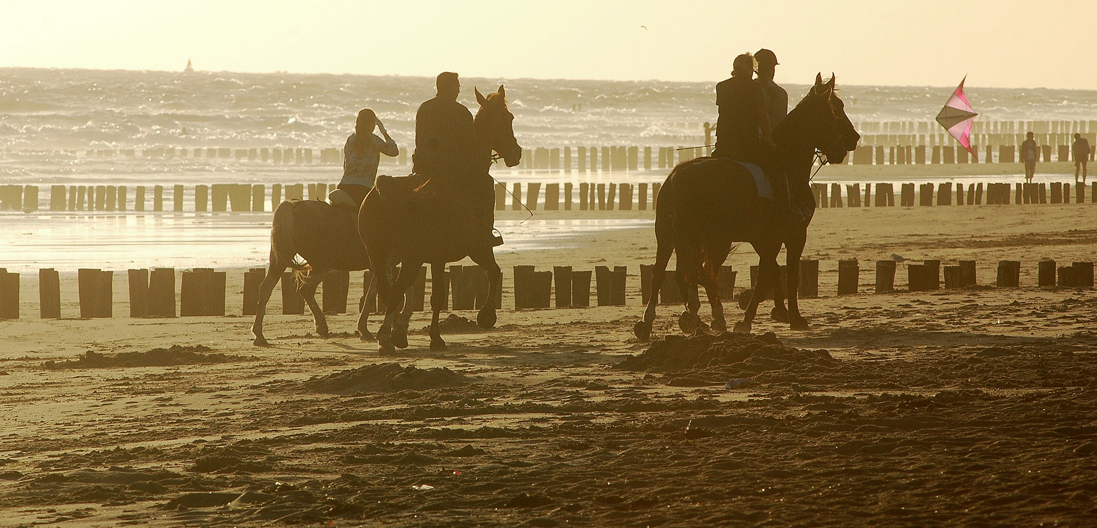 Am Strand von Zoutelande