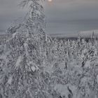 Am Straßenrand bei -31°C in Lappland, 01/2023 