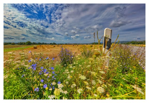 Am Strassenrand II