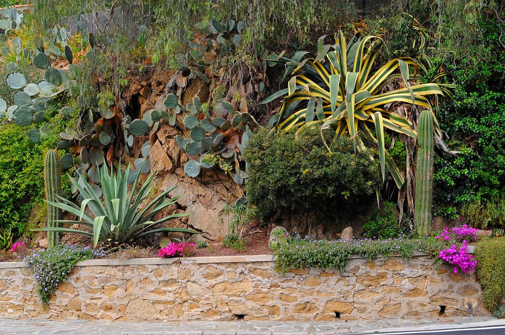 Am Straßenrand in ( Au bord de la route á ) Bormes-les-Mimosas