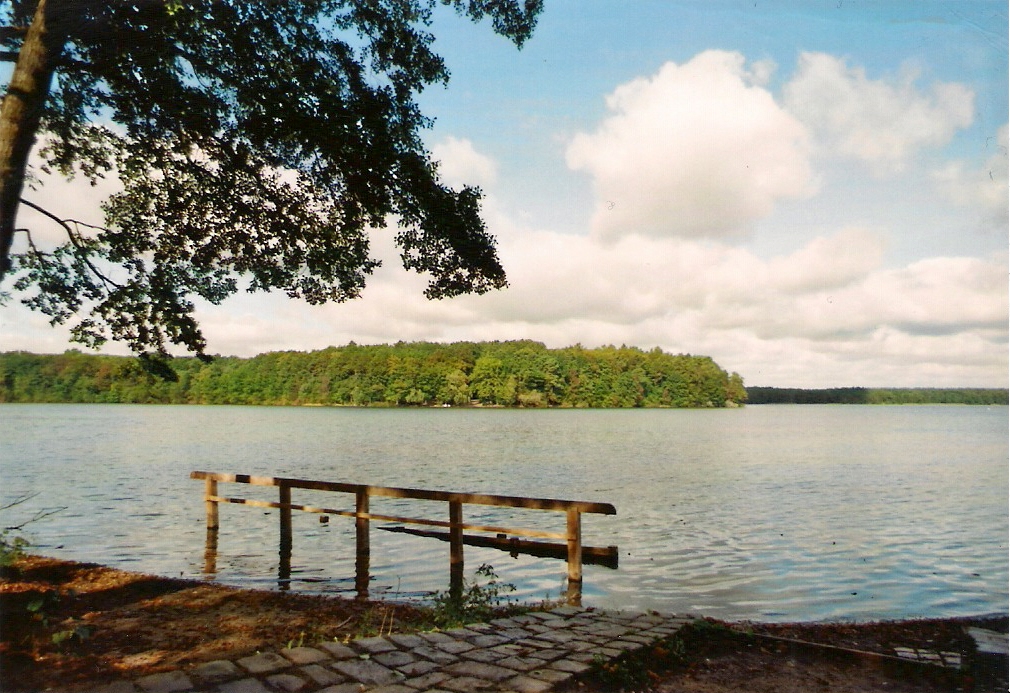 am straussee