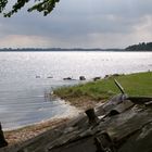 Am Strelasund (Rügen)