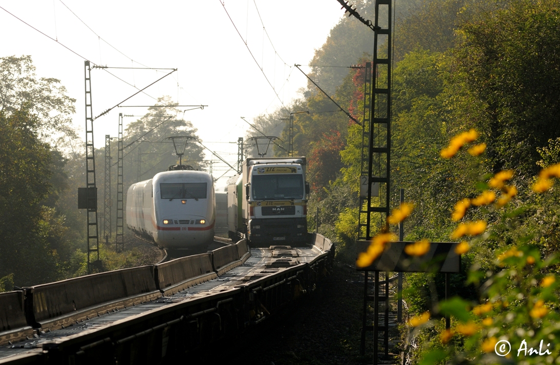 Am südlichen Oberrhein