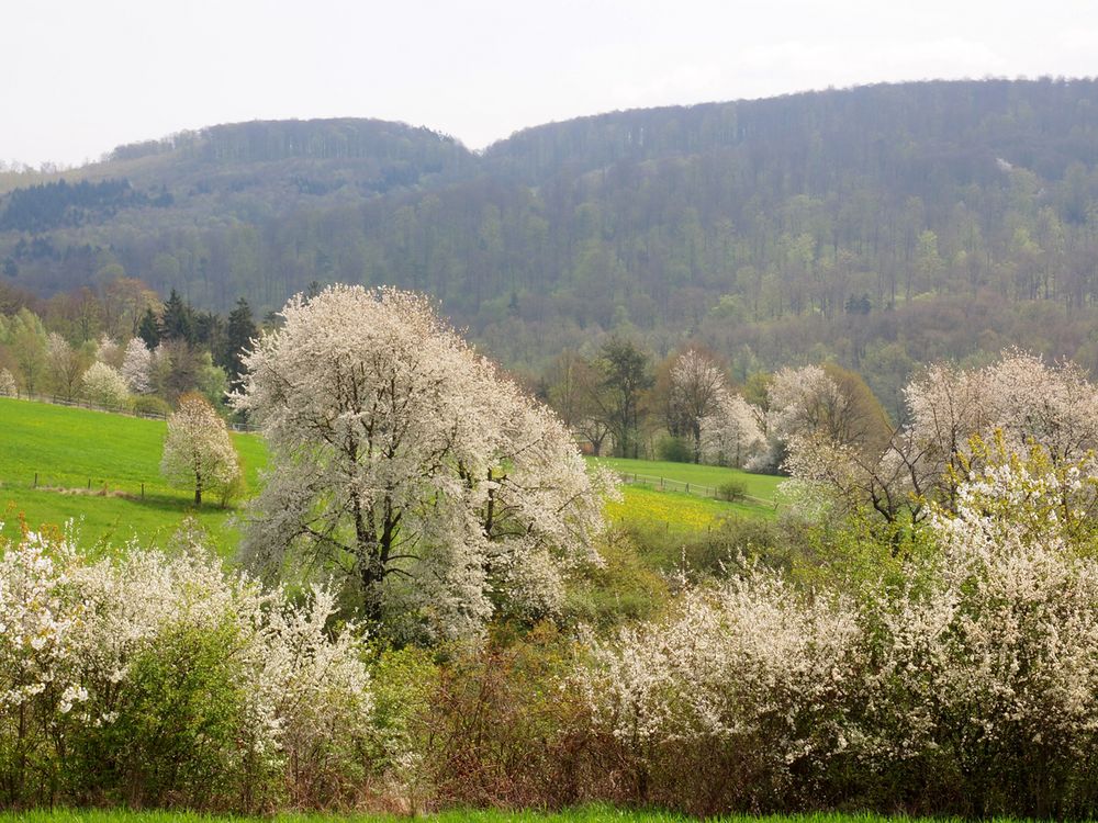 Am Südrand....