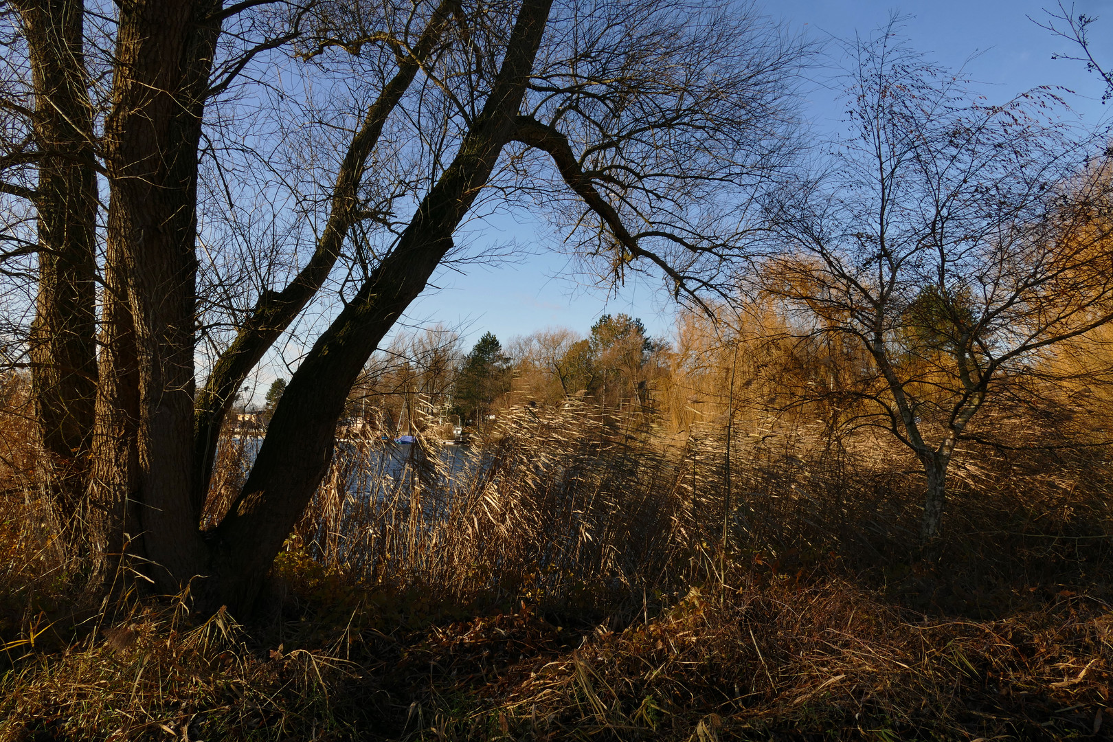 Am Südsee