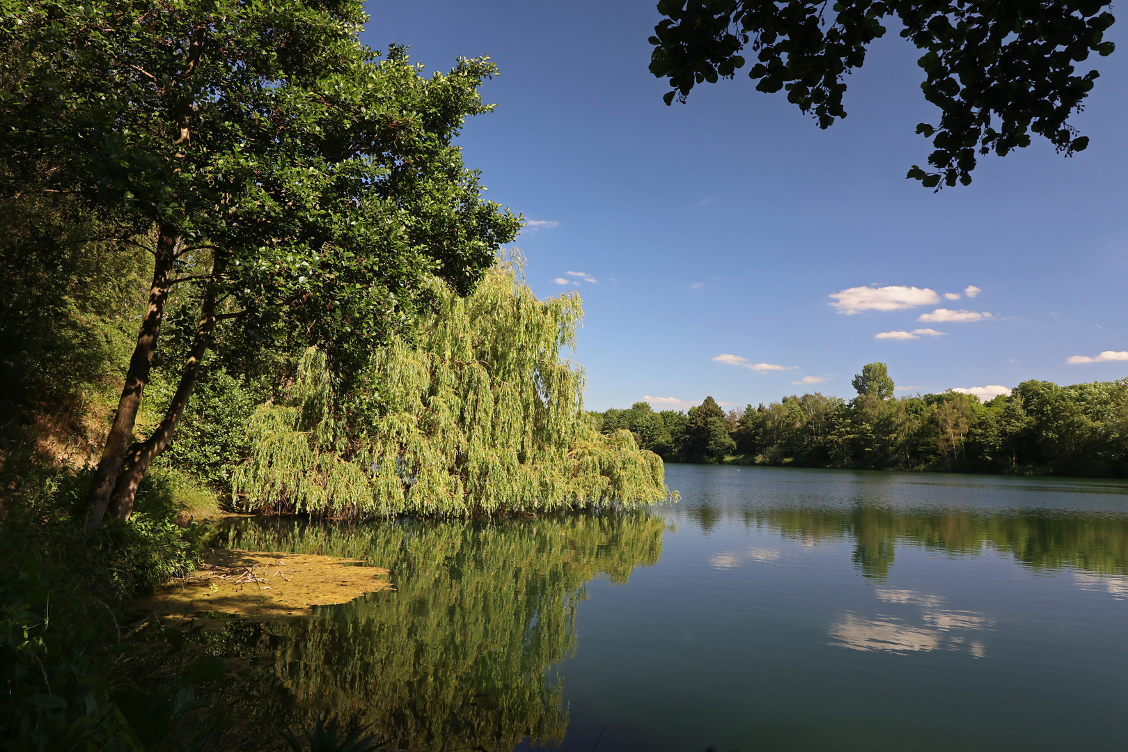 Am Südteich bei Gleidingen