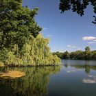 Am Südteich bei Gleidingen