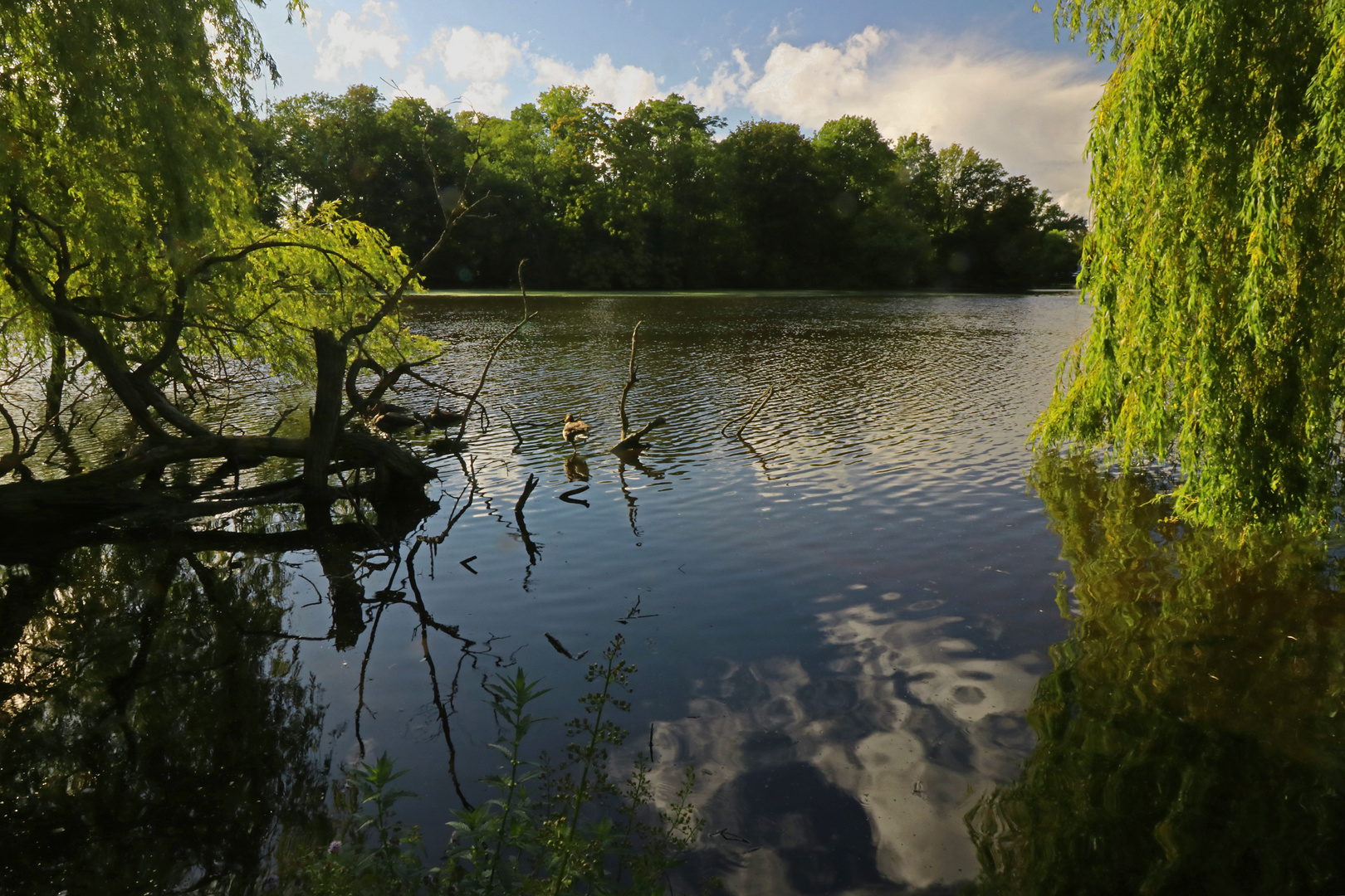 Am Südteich