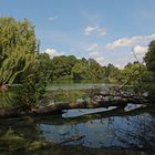 Am Südteich im Bürgerpark