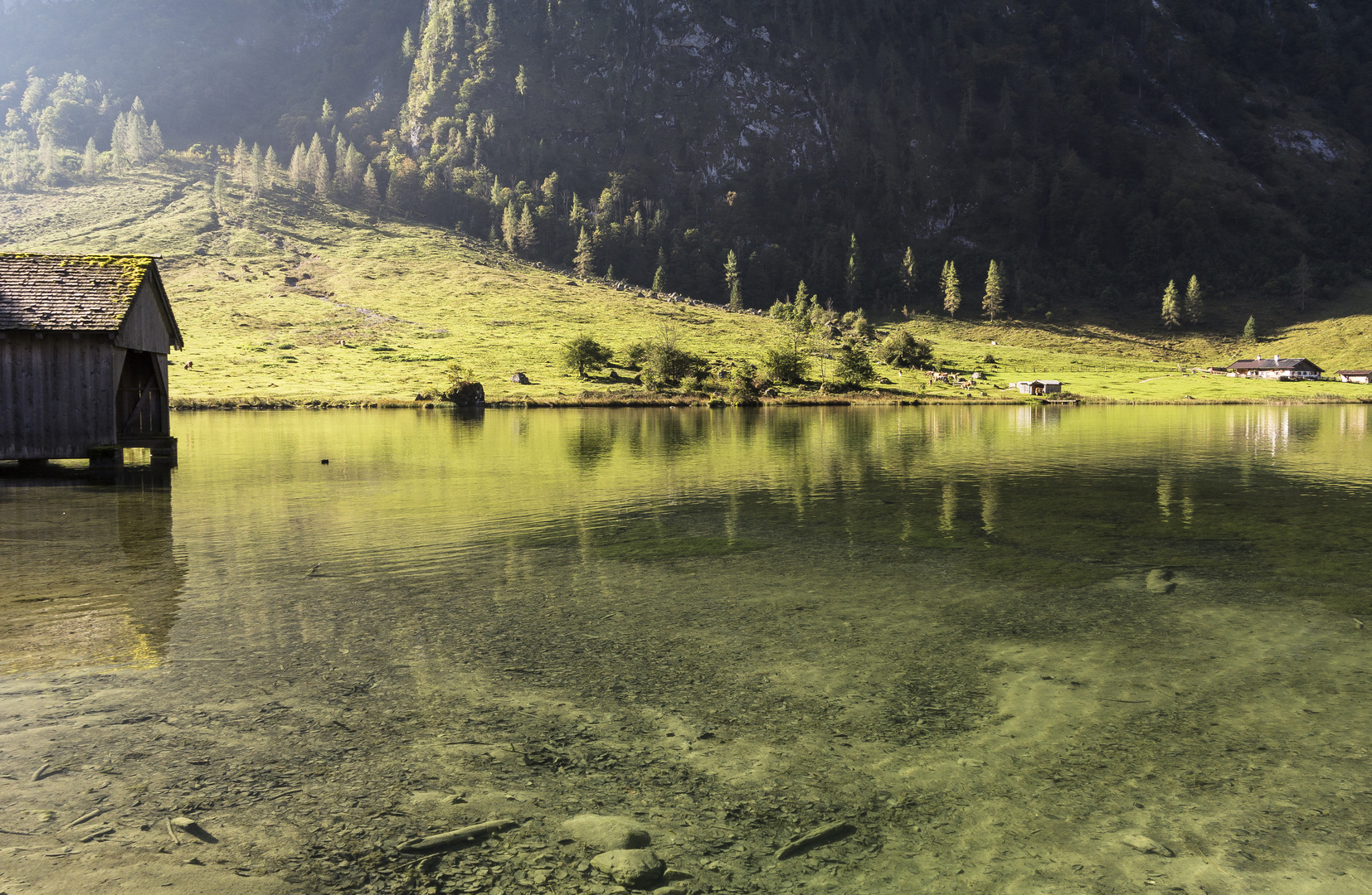 Am Südufer des Königssees