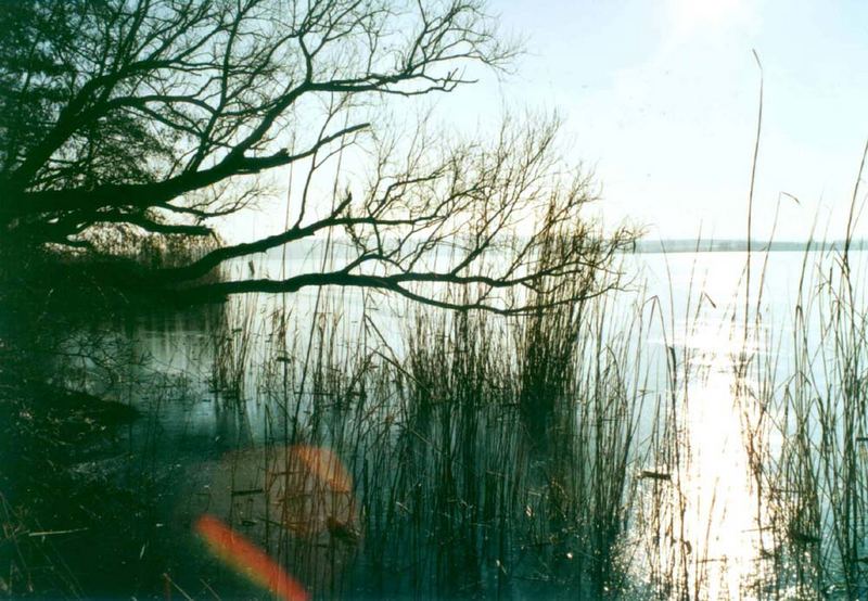 Am Süßen See