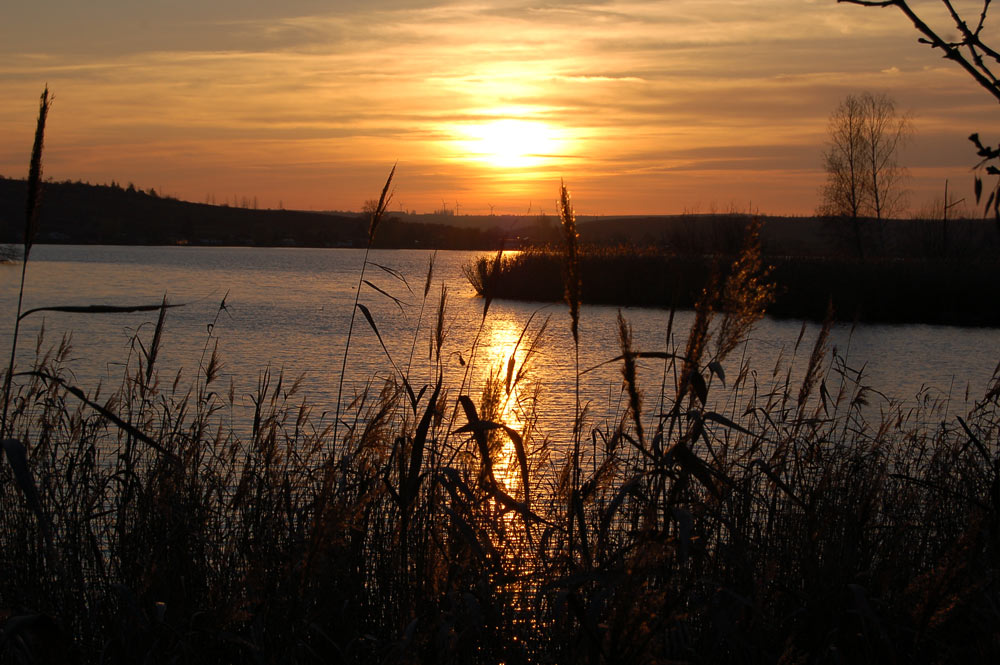 Am süßen See