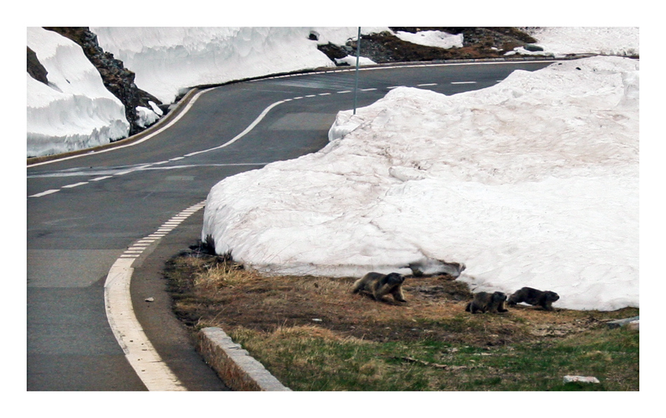 Am Sustenpass