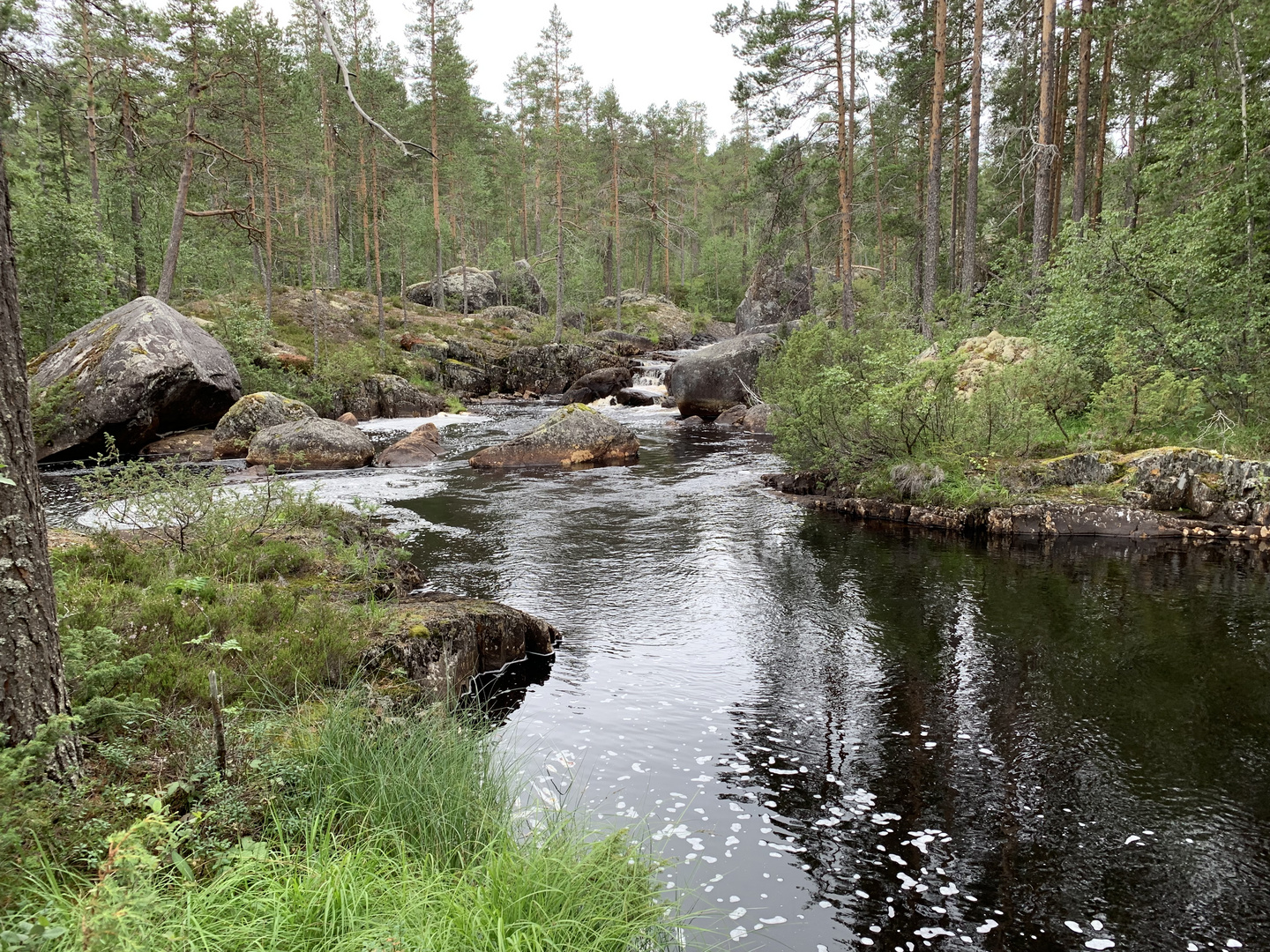 Am Svarten (Schwarzer Fluss) im Hamra-Nationalpark