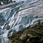 AM SVARTISEN GLETSCHER 1976 