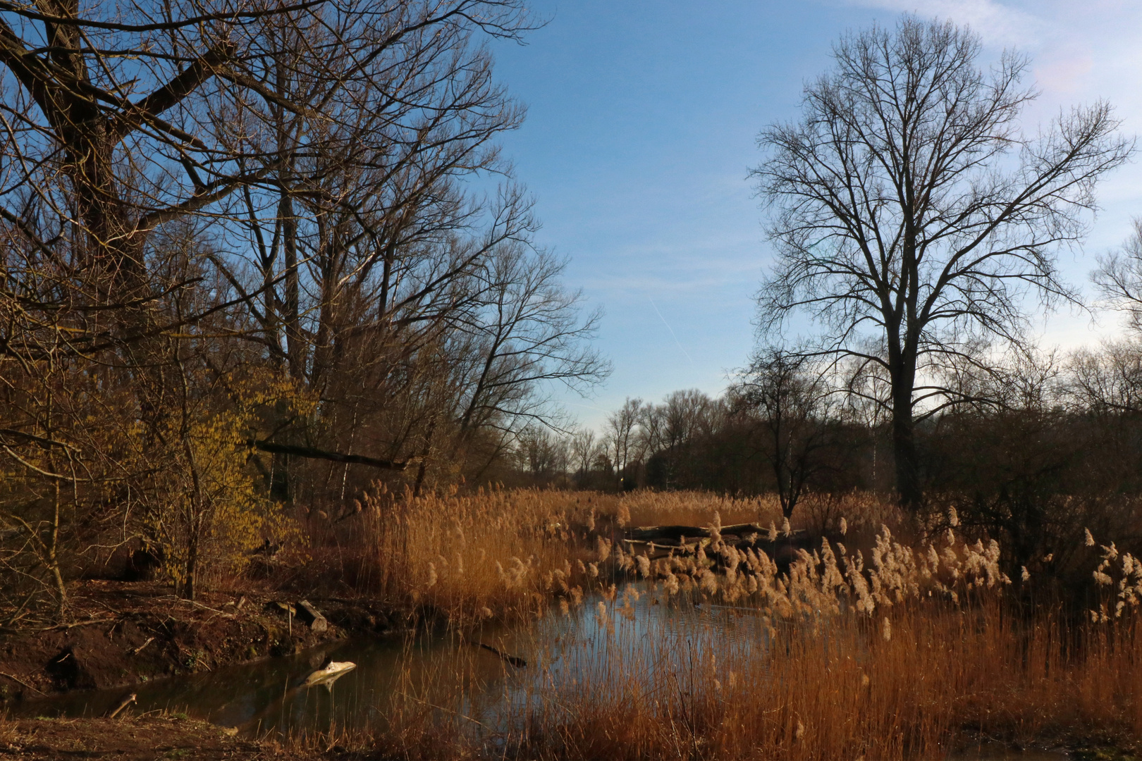 Am Tafelmakerweg