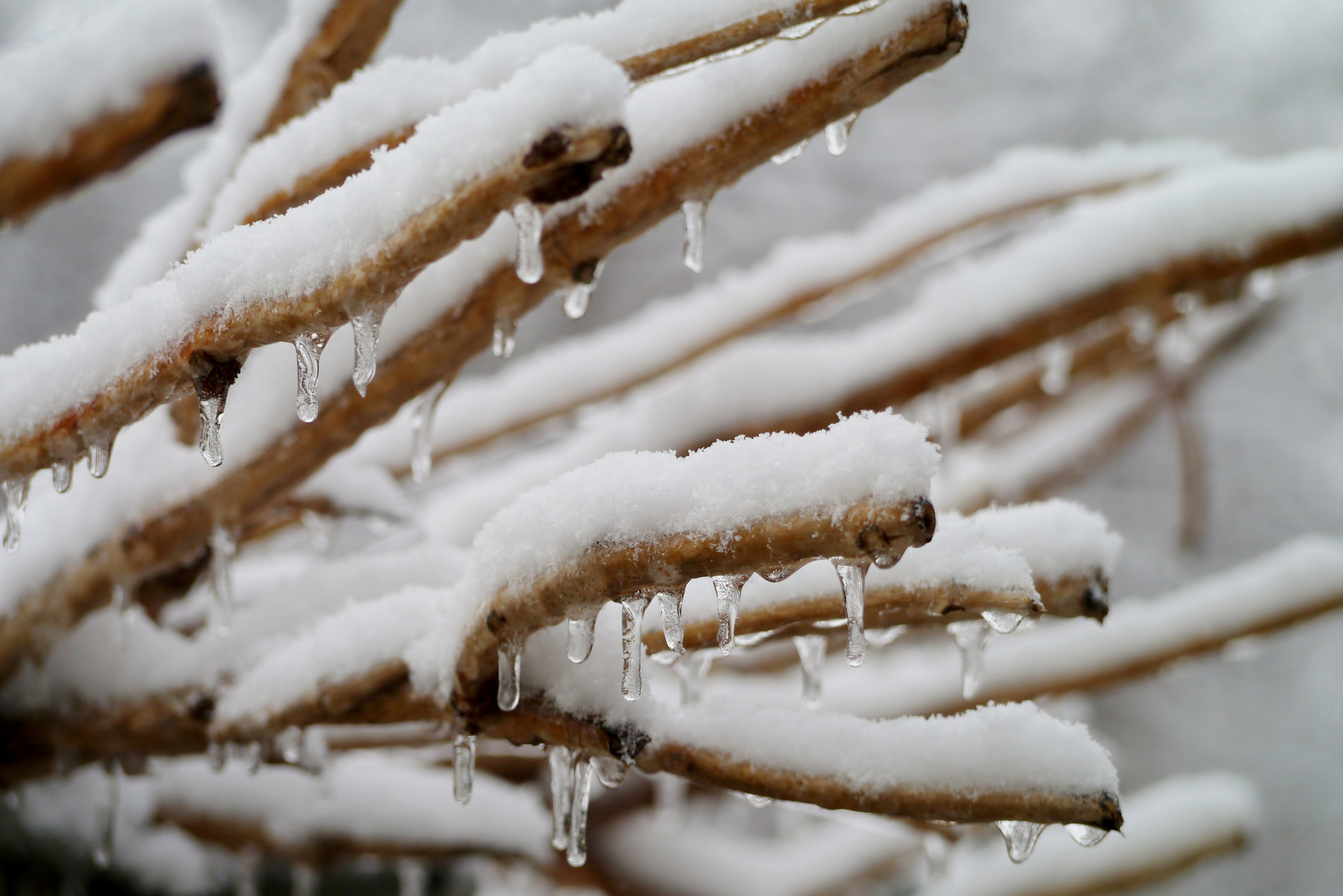 Am Tag als der Eisregen kam