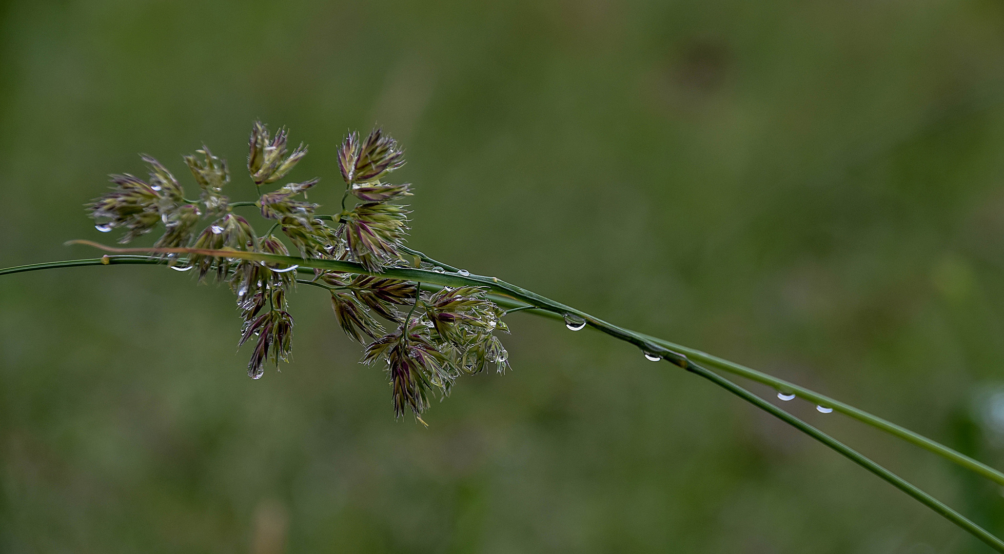 Am Tag, als der Regen kam ...