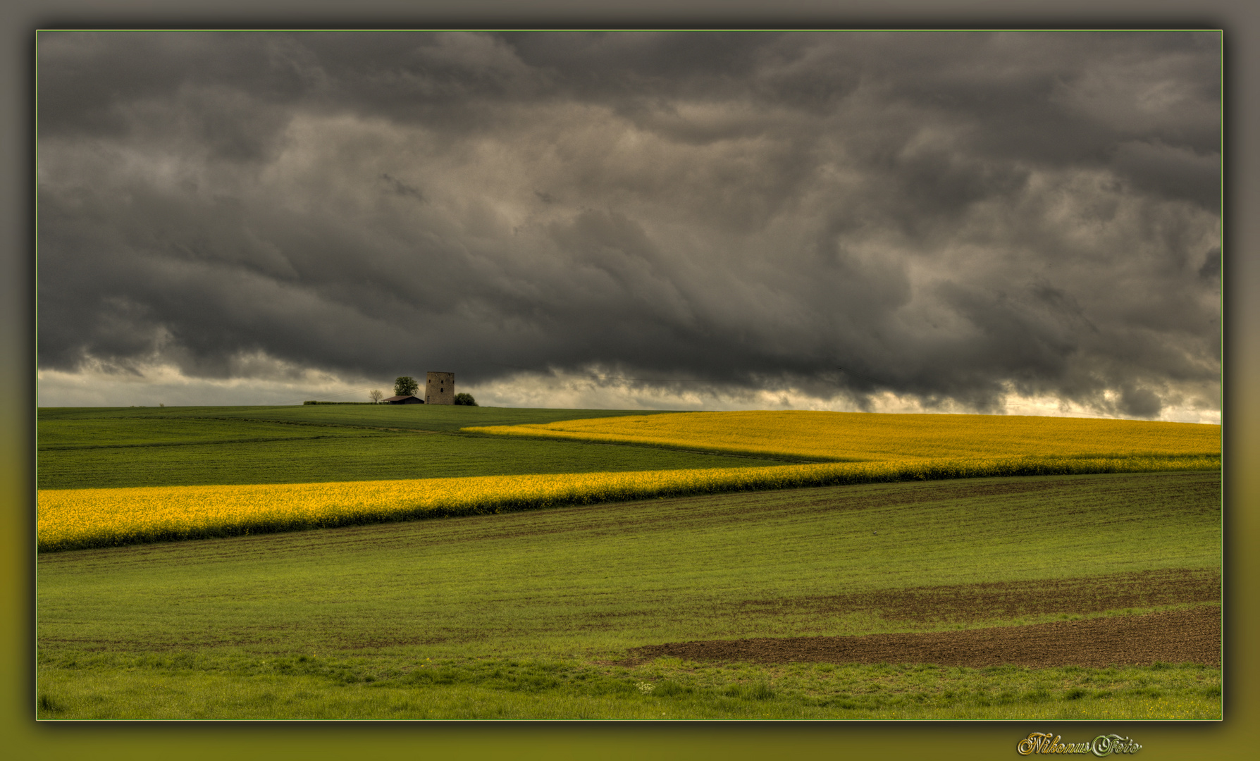 am Tag als der Regen kam 1