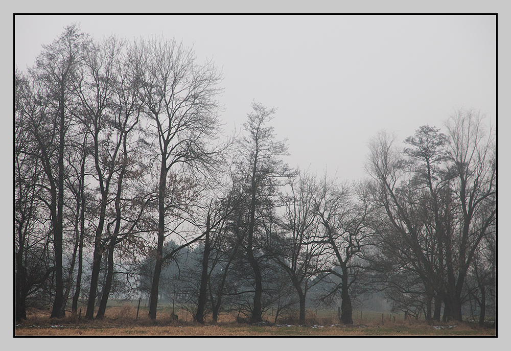 Am Tag als der Regen kam