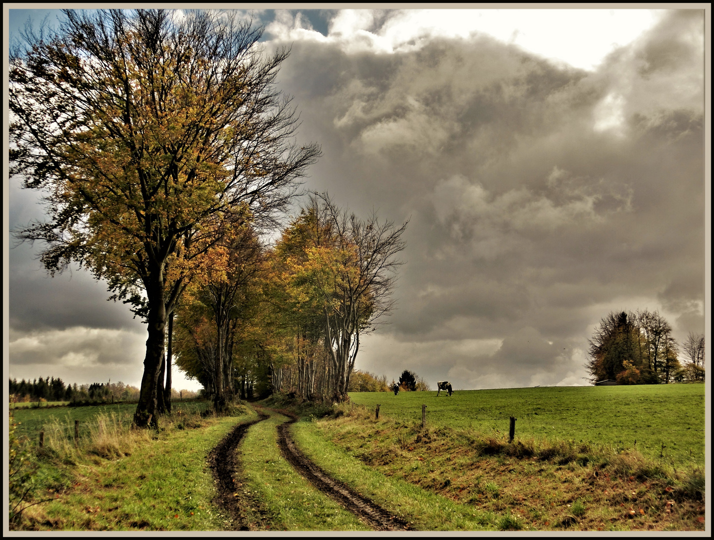 "Am Tag als der Regen kam....