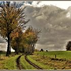 "Am Tag als der Regen kam....