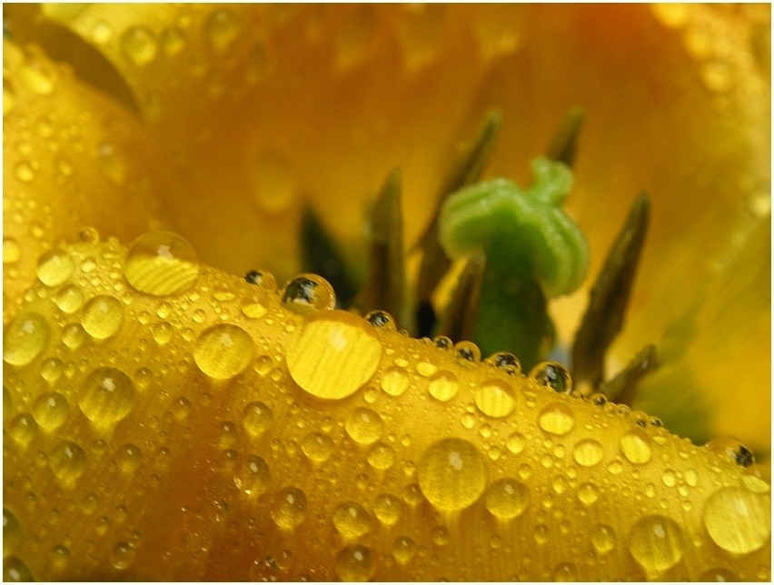 Am Tag als der Regen kam