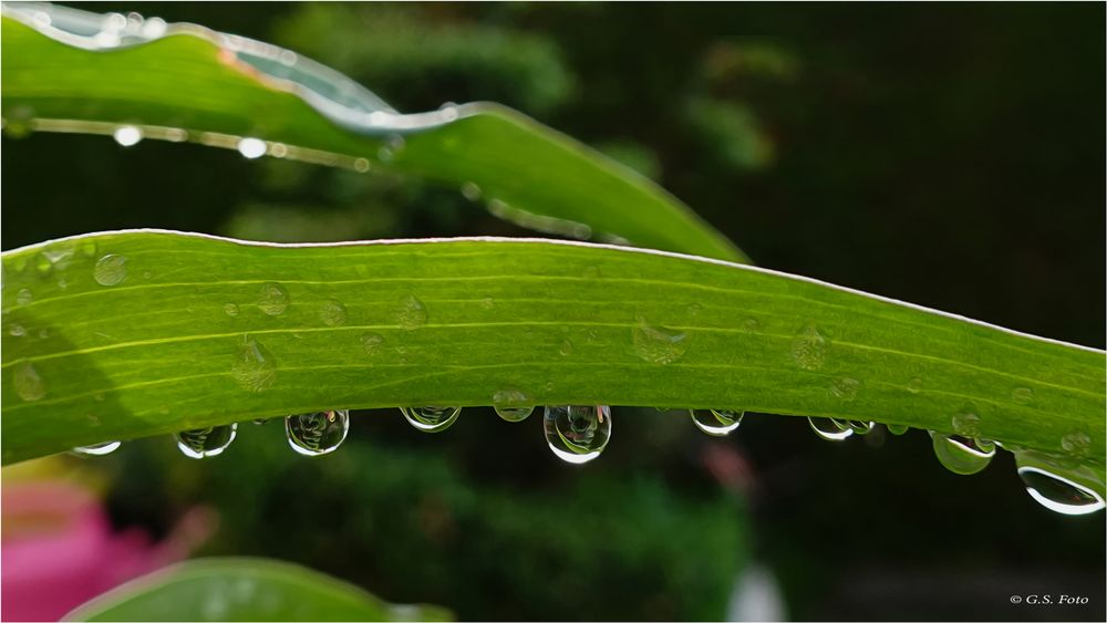 Am Tag als der Regen kam......