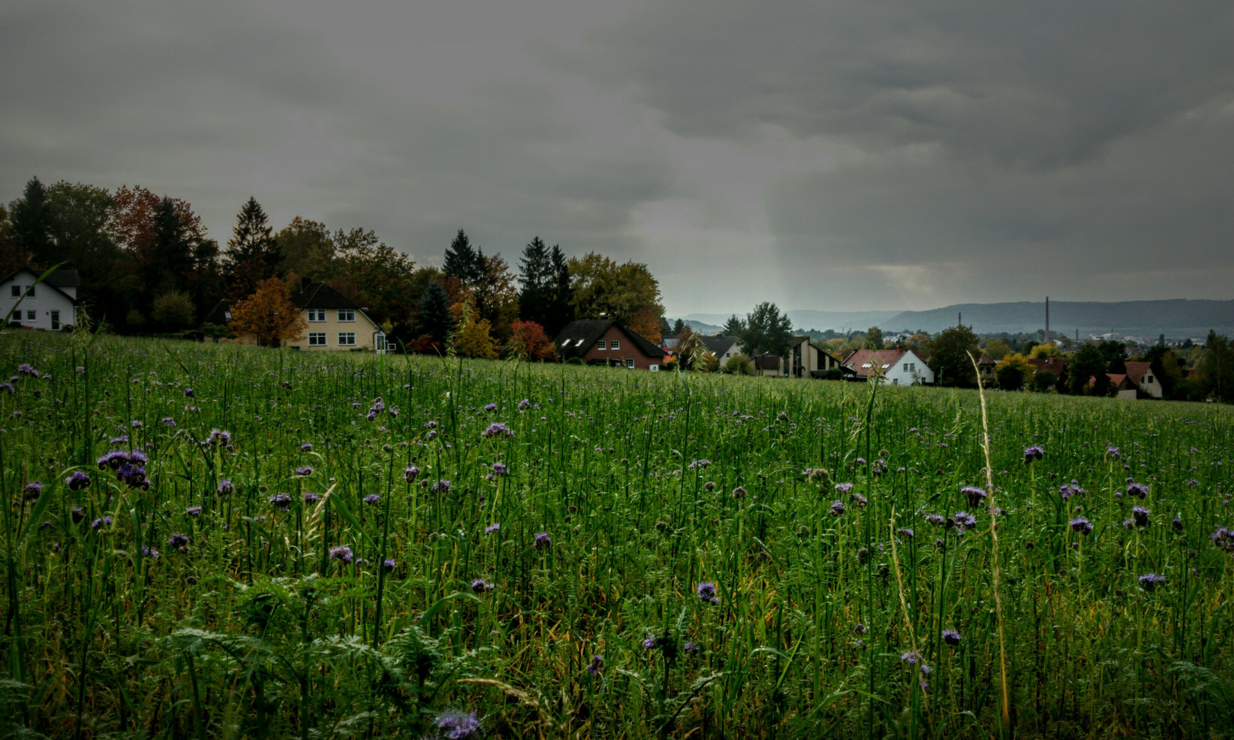 Am Tag als der Regen kam......