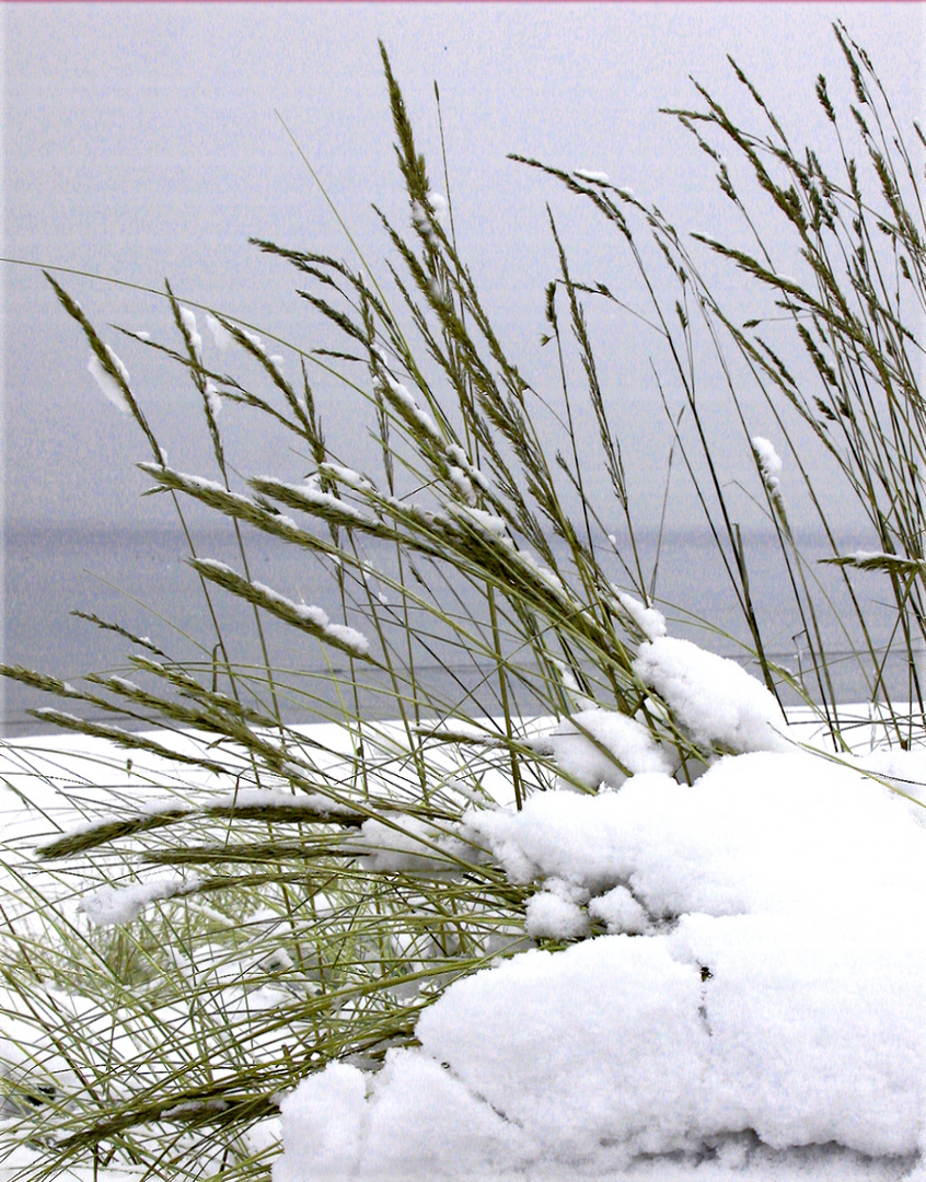 am Tag als der Schnee auch zu uns kam..