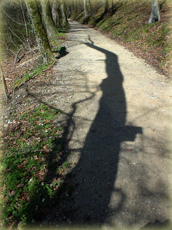 Am Tag als Maria den Himmel berührte.