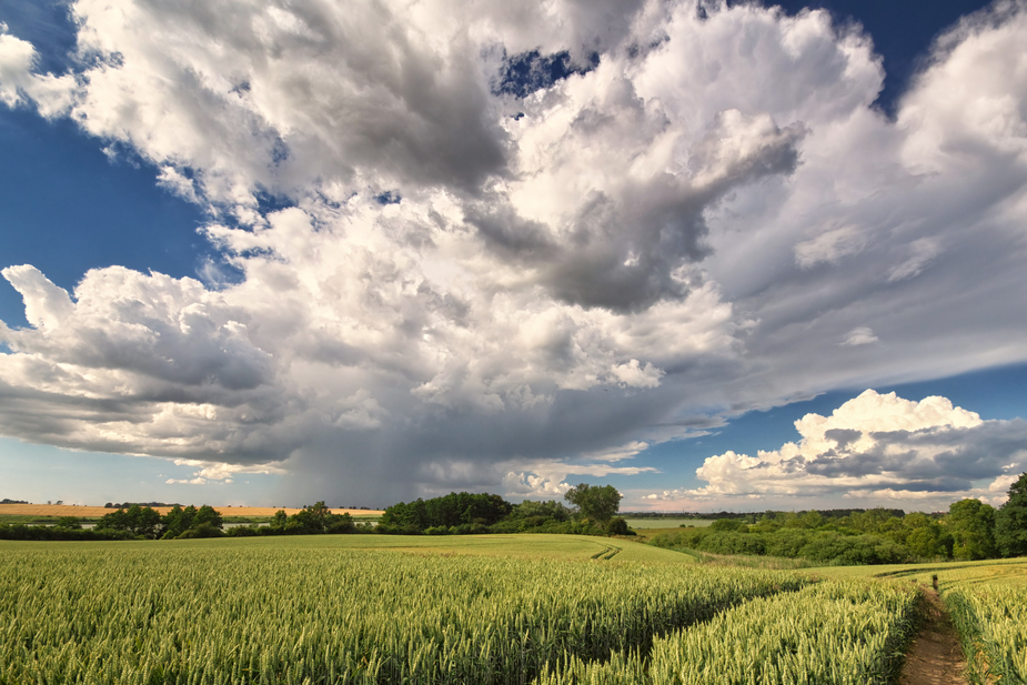 Am Tag der schönen Wolken