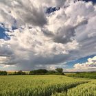 Am Tag der schönen Wolken