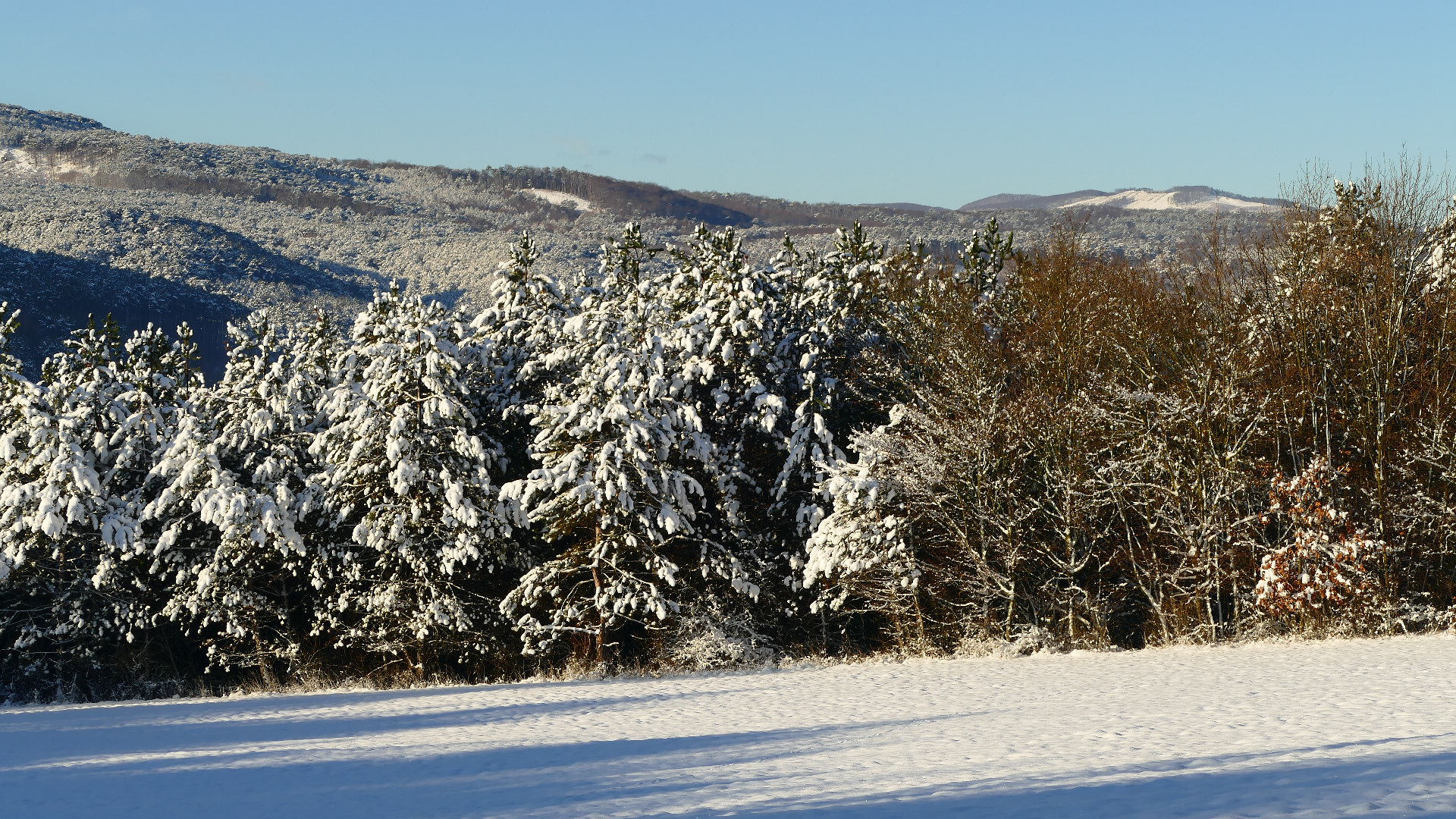 Am Tag nach dem großen Schneefall