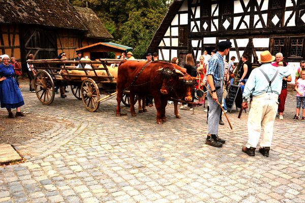 Am Tag nach der Ernte im Museum