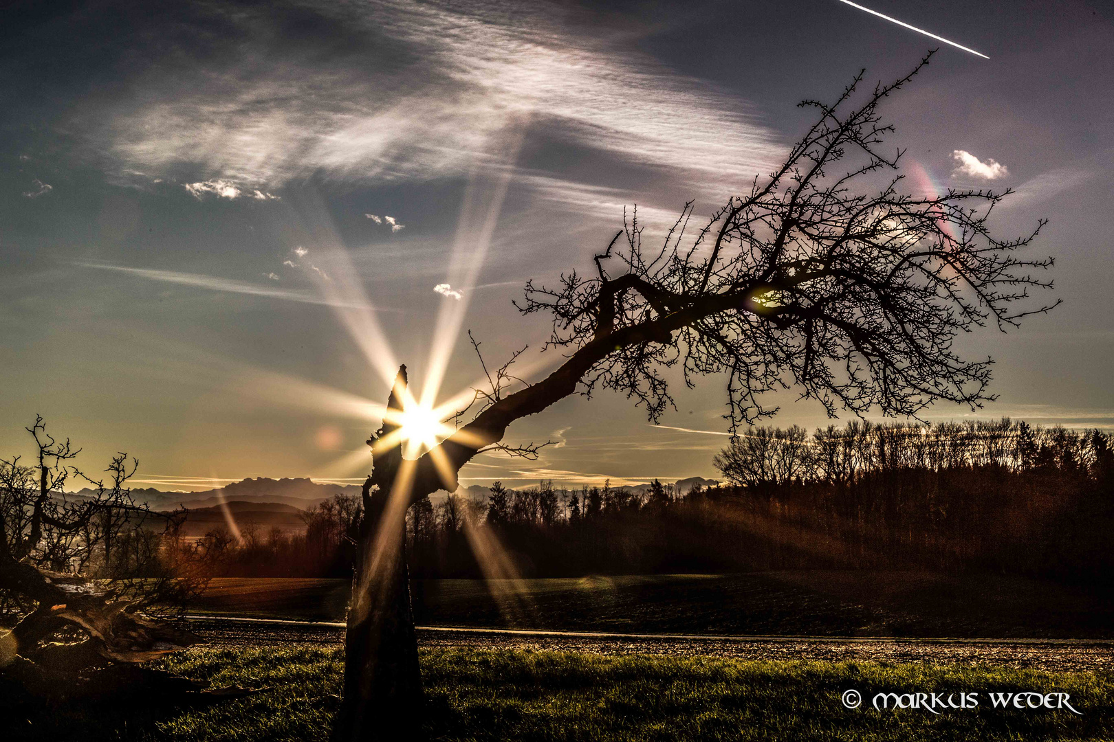 Am Tag nach Sturm Burglind_B