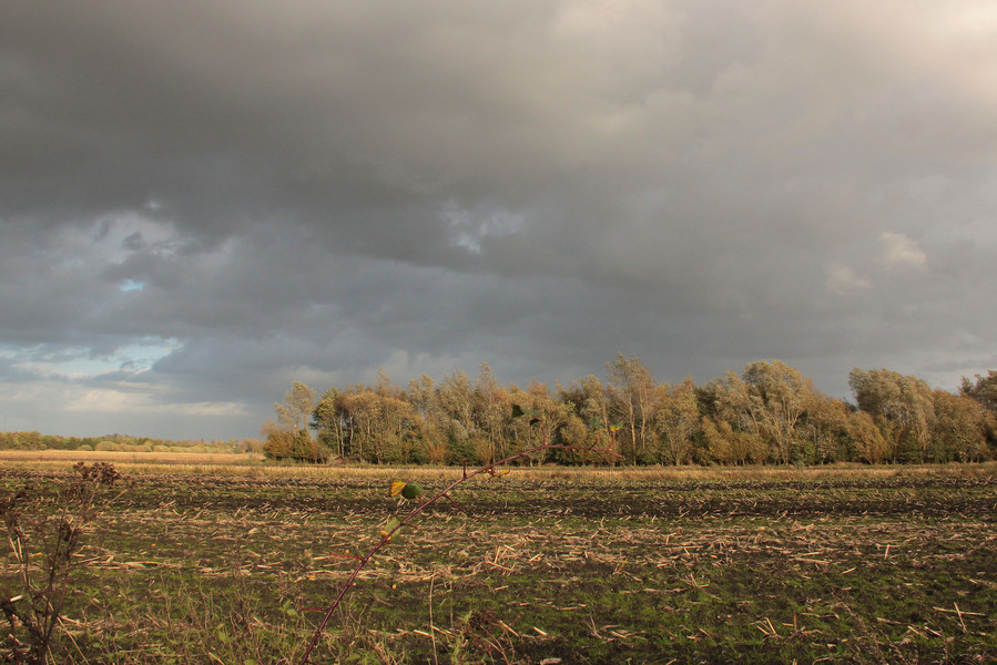 Am Tag vor dem Sturm