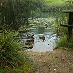 Am Talweiher.