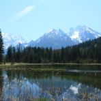 am Taubensee